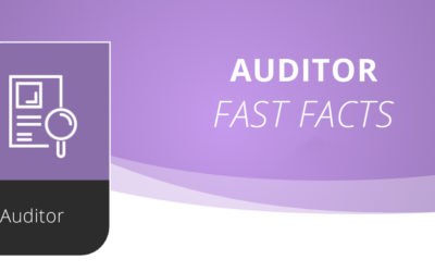 How To Install Auditor in 6 Easy Steps