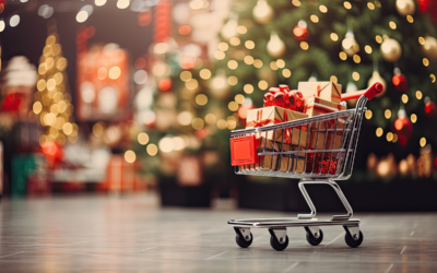 Pricing Strategies for Seasonal Retail Sales